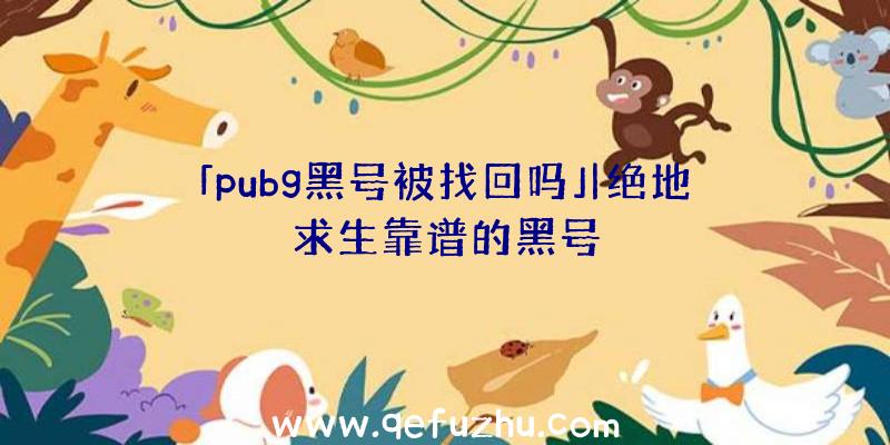 「pubg黑号被找回吗」|绝地求生靠谱的黑号